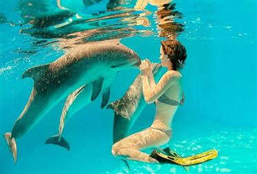 popular tours