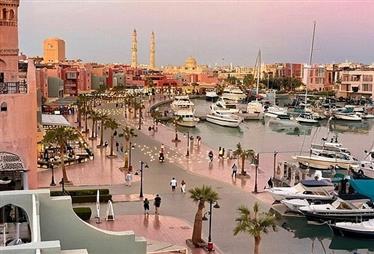 popular tours