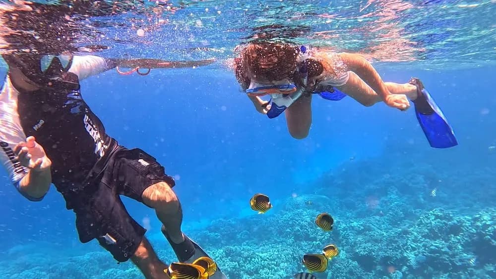 Luxuriöse Yachtreise mit persönlicher Crew und Koch