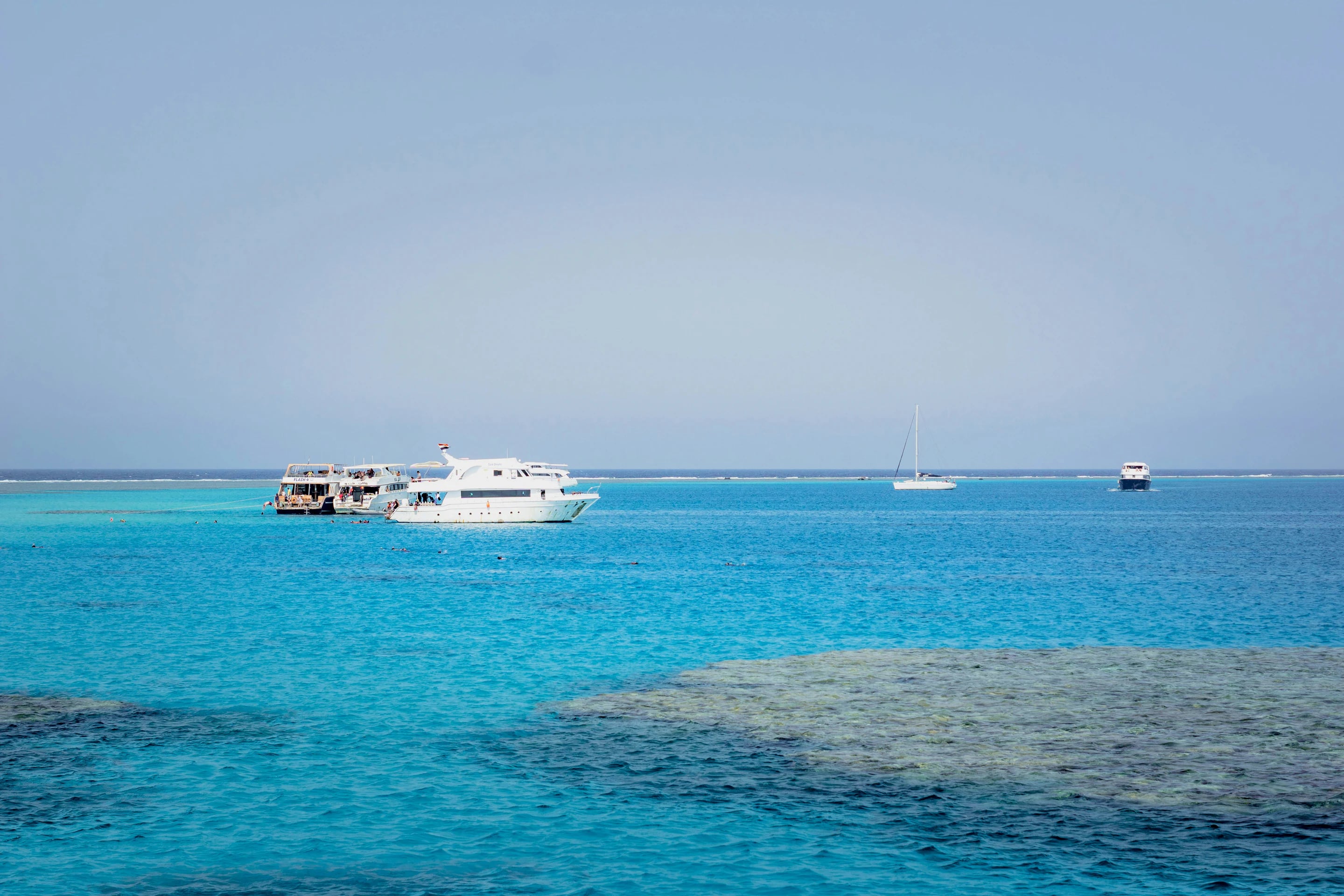 Enjoy variety of sea trips