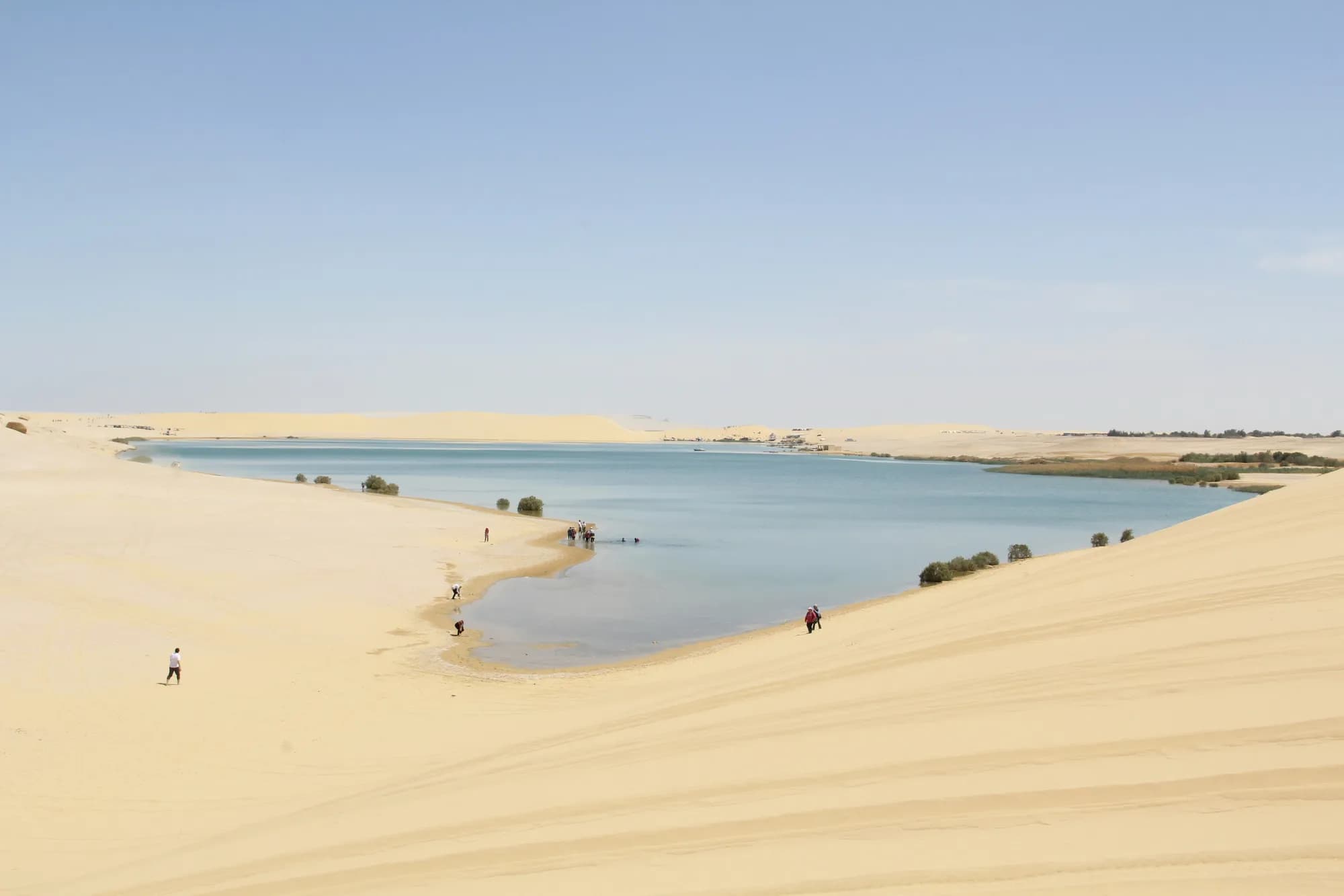 Safari Sahara Oasis